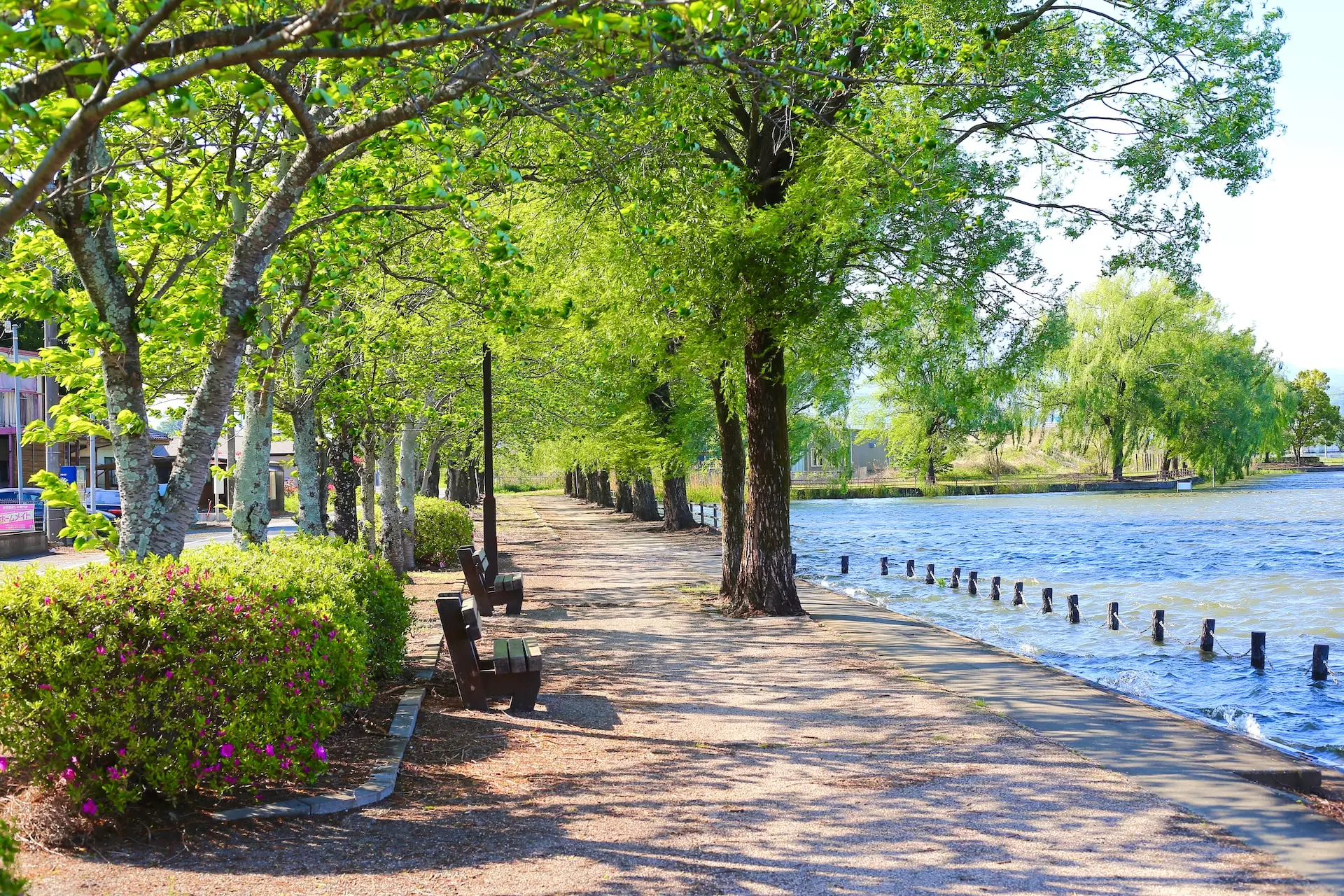 Tomball, TX artificial turf projects